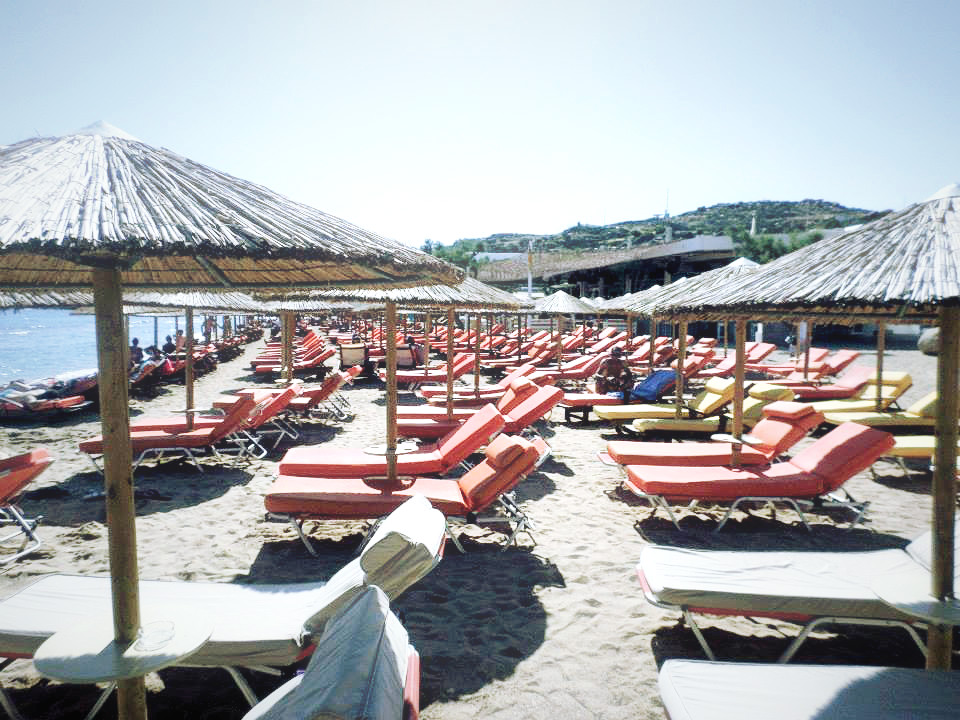 Tropicana Beach Club 3