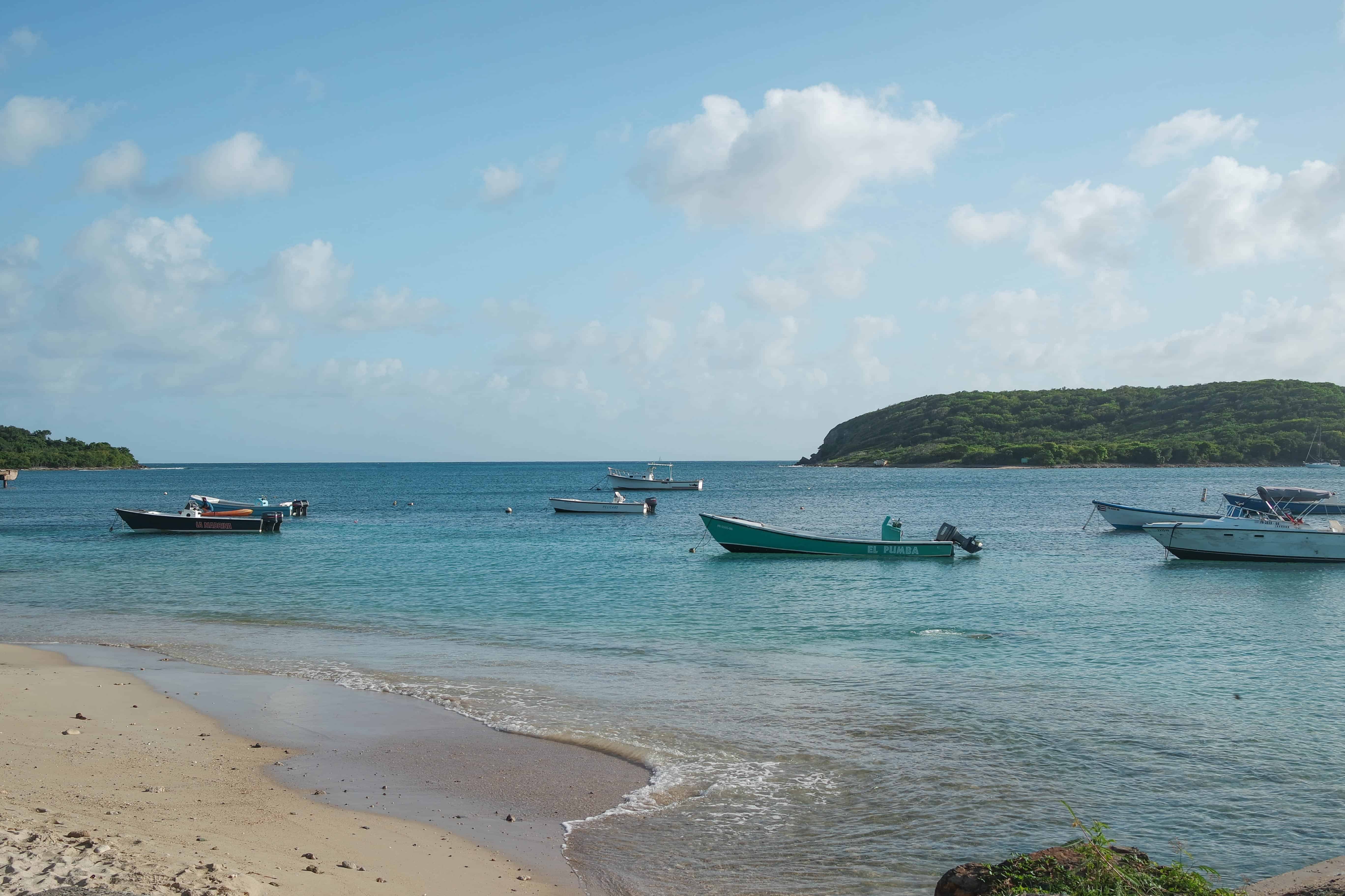 Highlights from Vieques Island, Puerto Rico | Christina Galbato