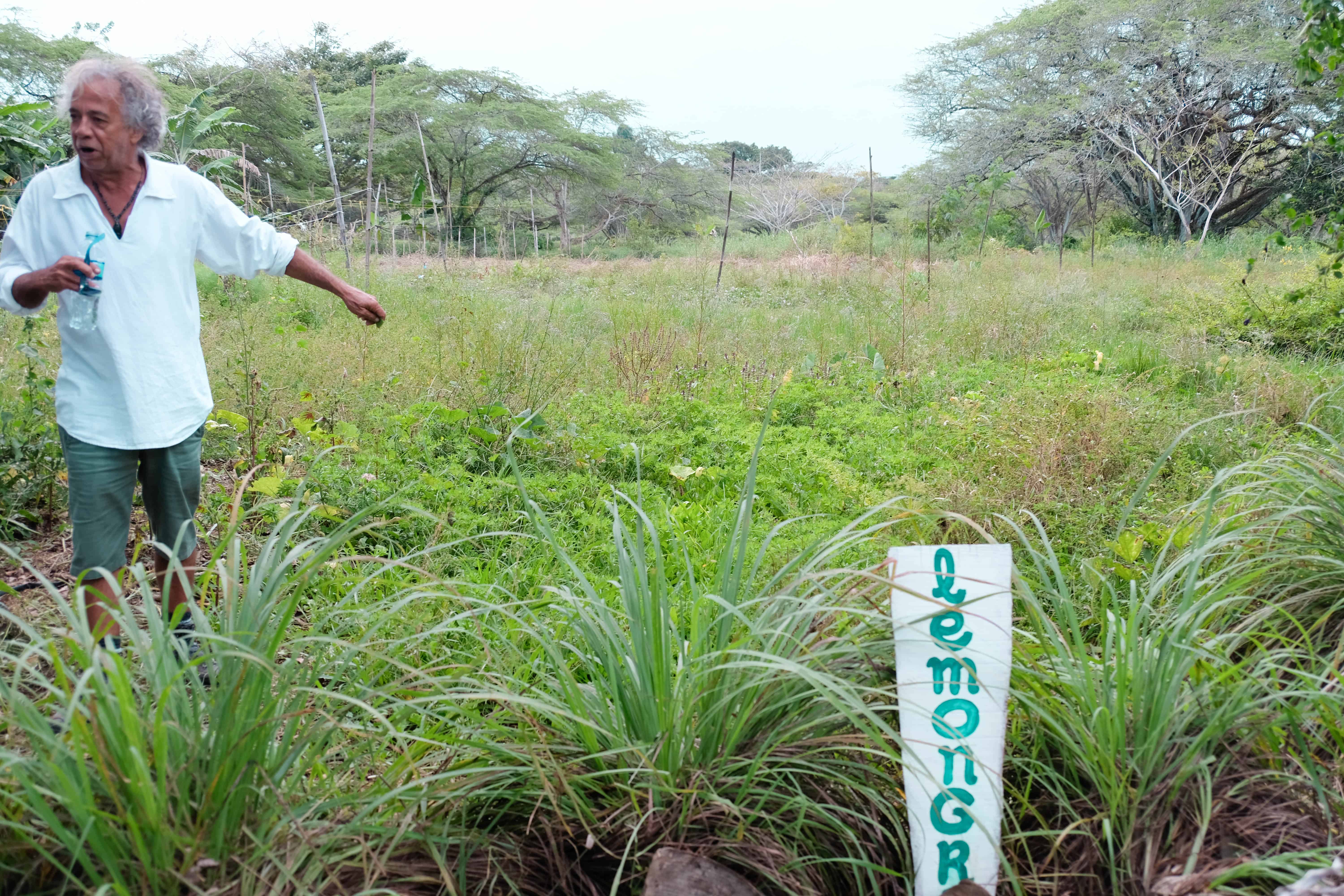 Sea Horse Ranch in Cabarete, Dominican Republic