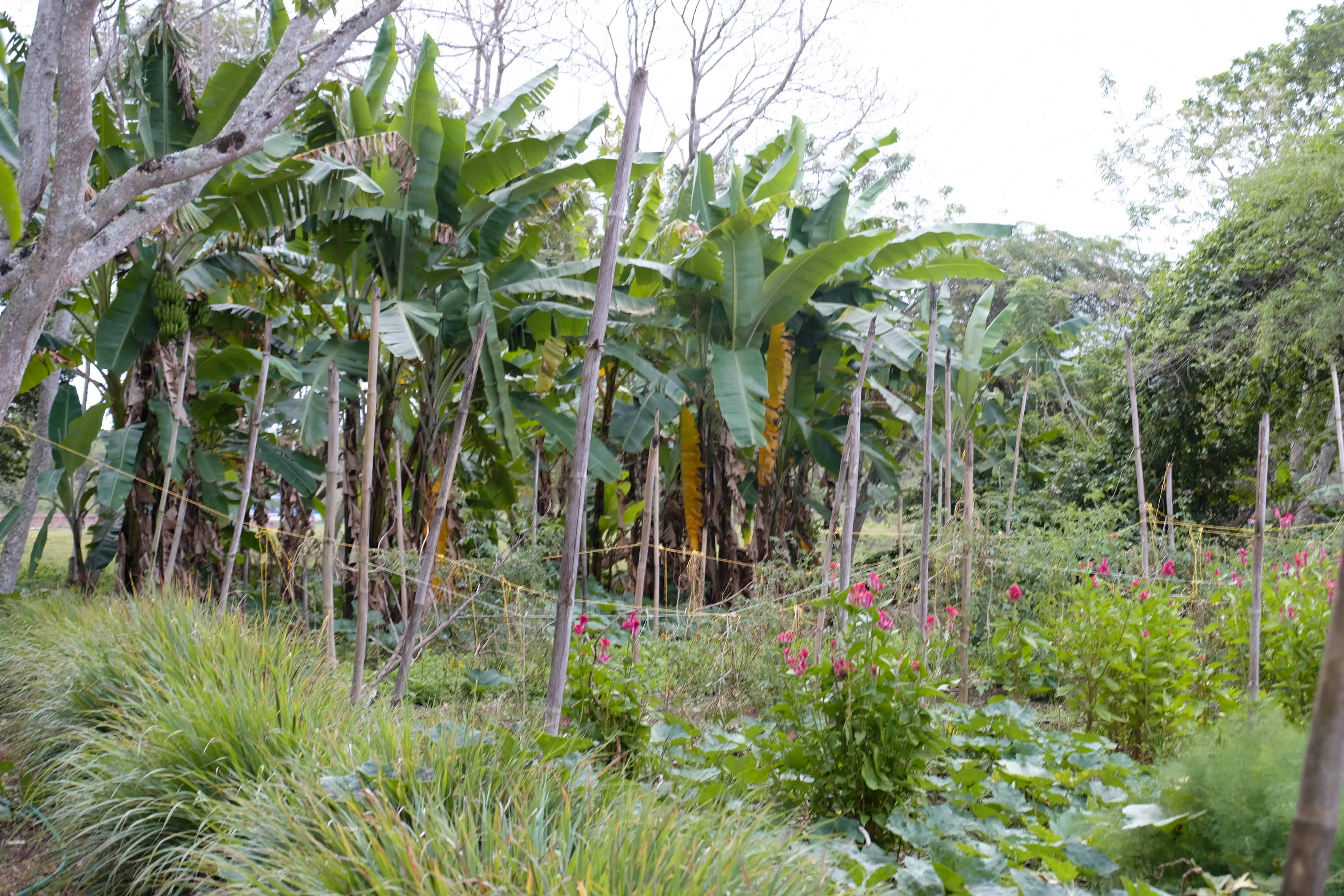 Sea Horse Ranch in Cabarete, Dominican Republic