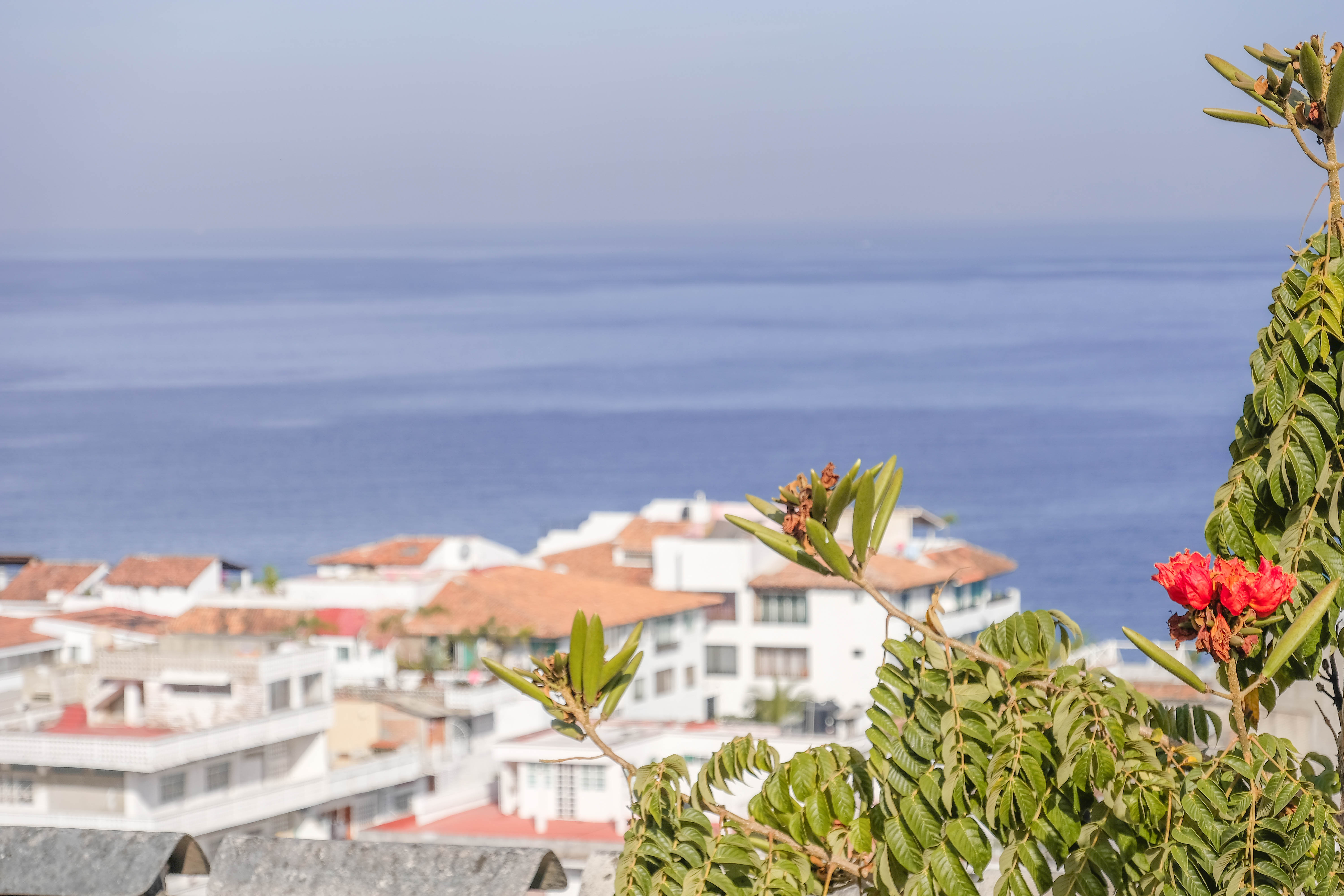 Sayulita, Puerto Vallarta and Punta Mita: Which Should You Visit?