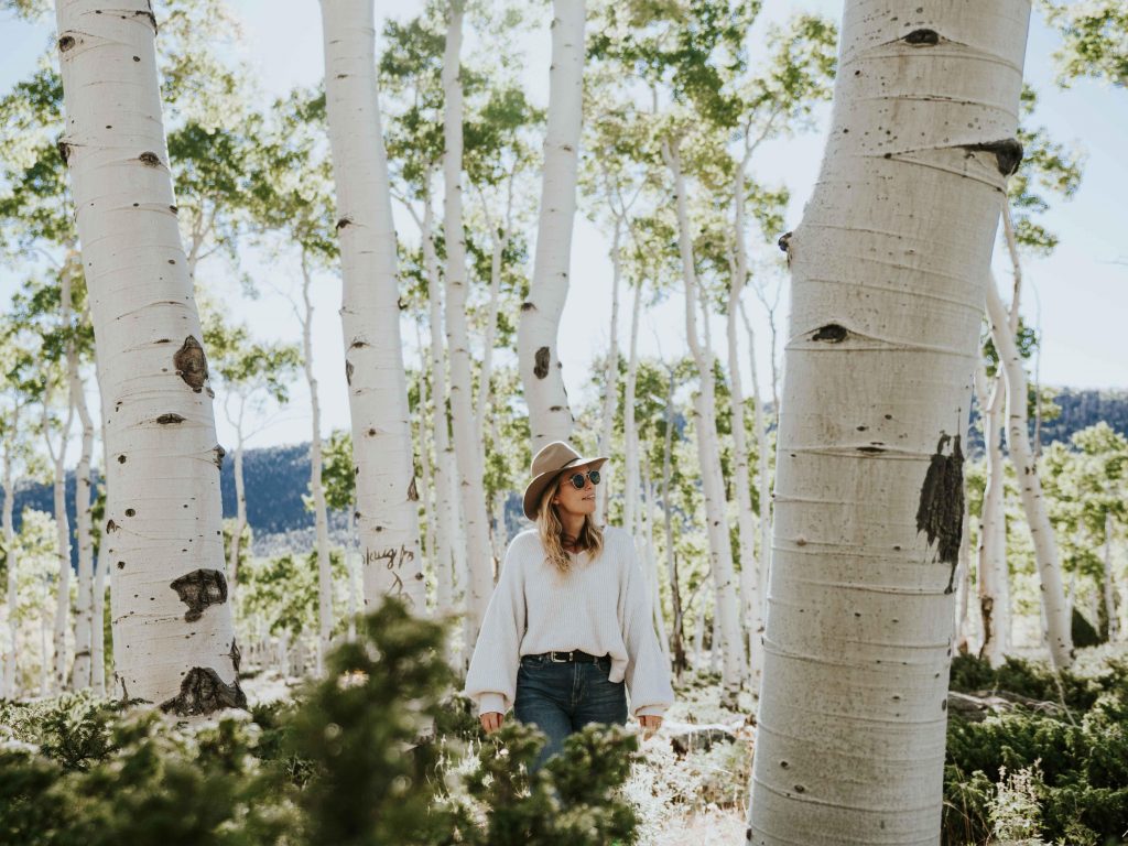 Fishlake National Forest Pando | 10 Best Places to Visit in the US