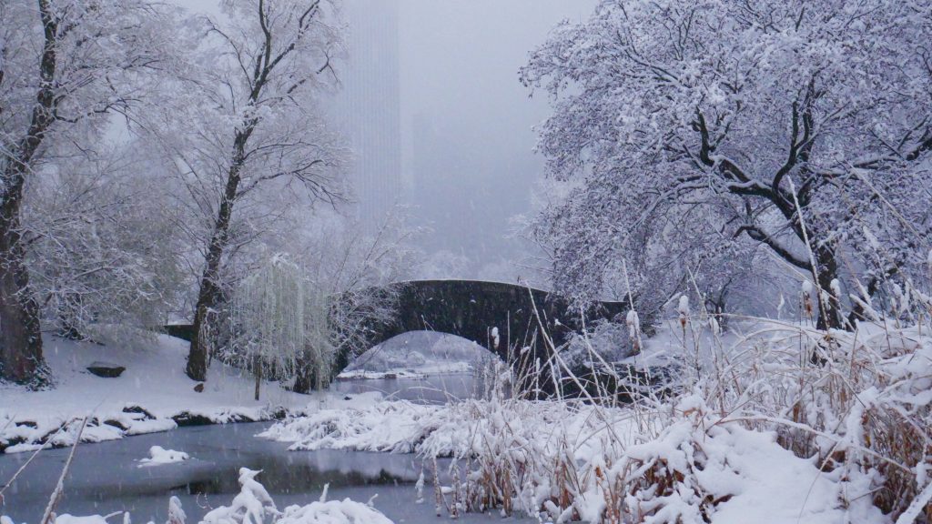 Central park New York City in the snow | Best Places to Travel in the US in the Winter