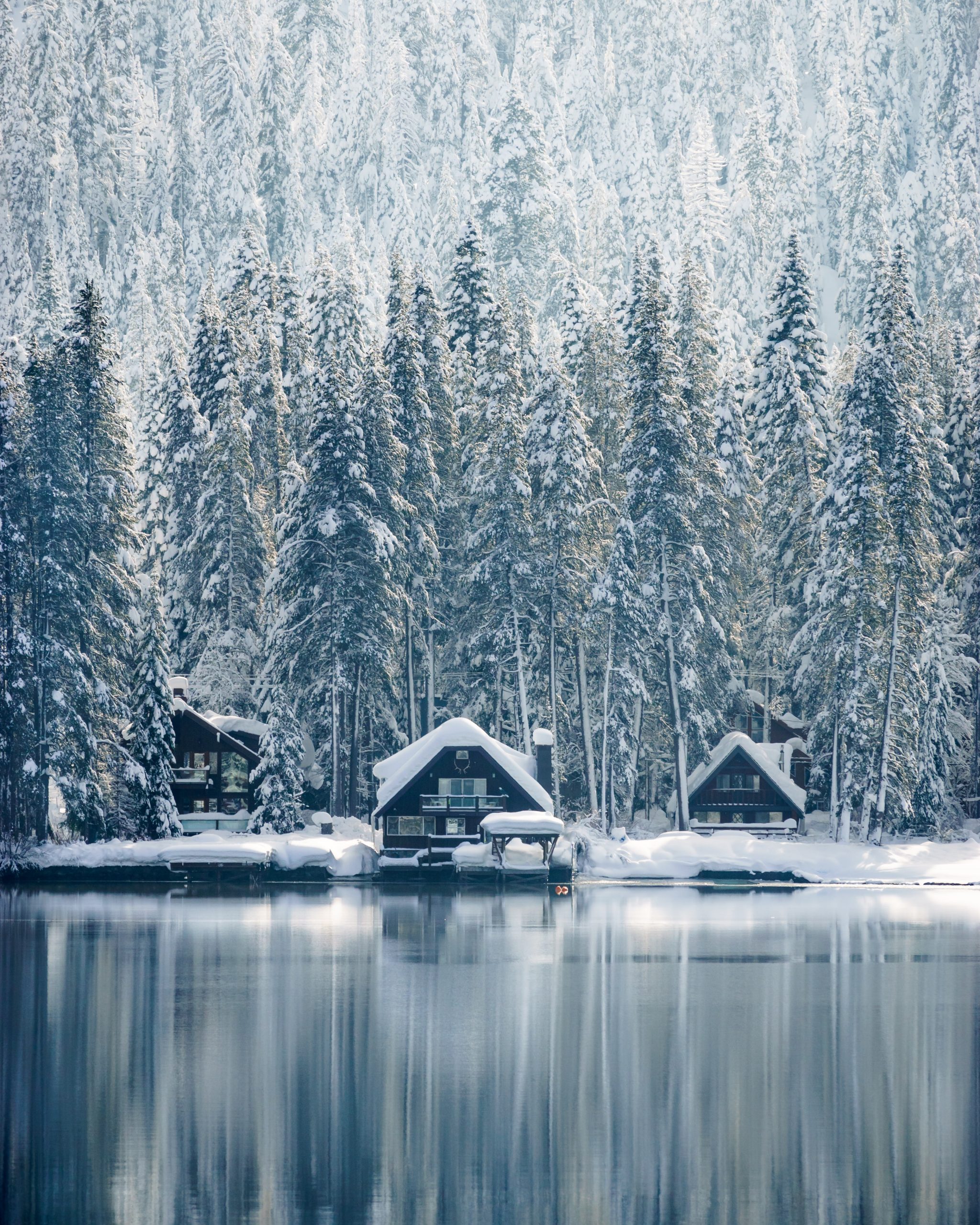 FP Truckee, USA | Best Places to Travel in the US in the Winter