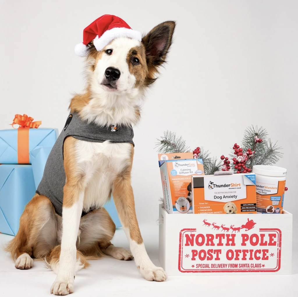Thundershirt products for dogs | 40 Perfect Gifts for Travel Lovers