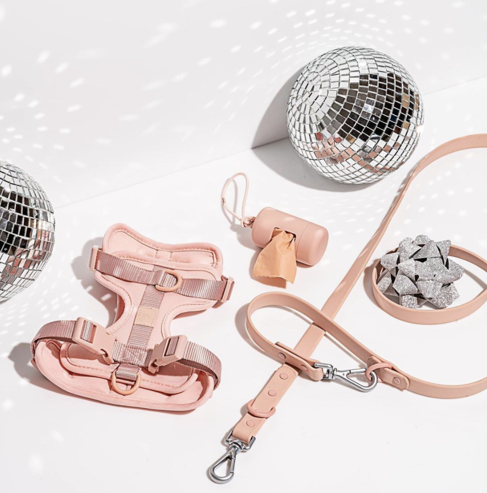 Pink Wild One harness walk kit | 40 Perfect Gifts for Travel Lovers