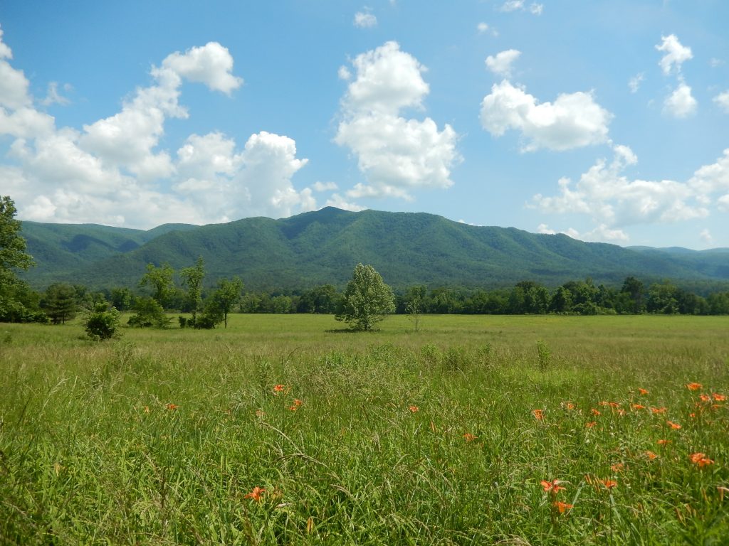 Great Smoky Mountains National Park Great Smoky Mountains National Park