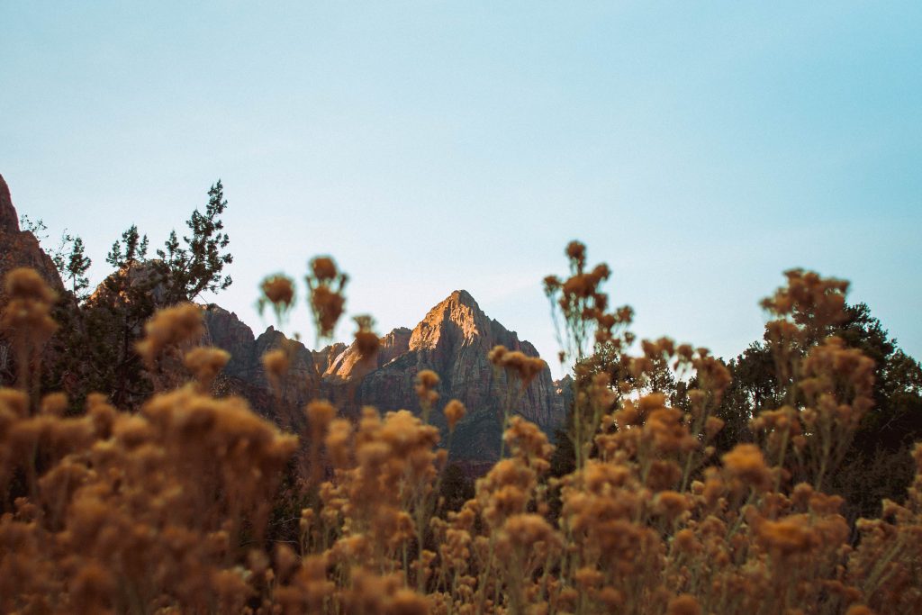 Zion national park Zion national park | 12 places to travel to in the US this spring