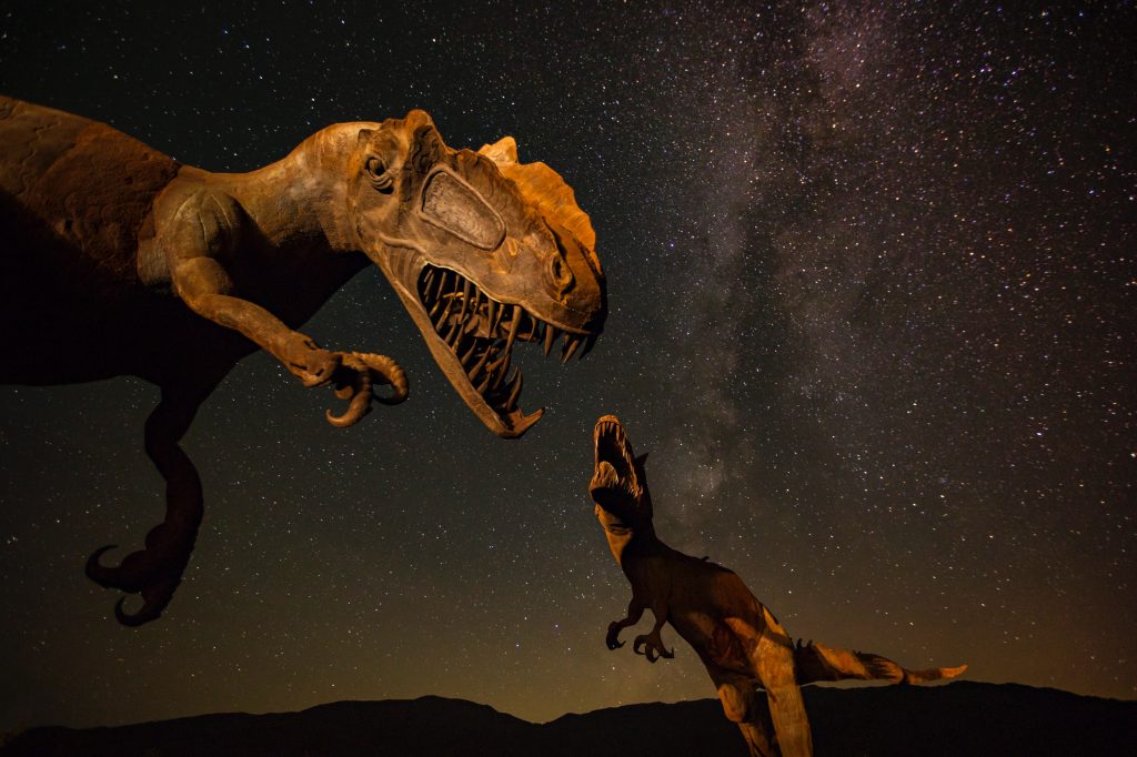 Anza Borrego desert state park Anza Borrego desert state park | 12 places to travel to in the US this spring